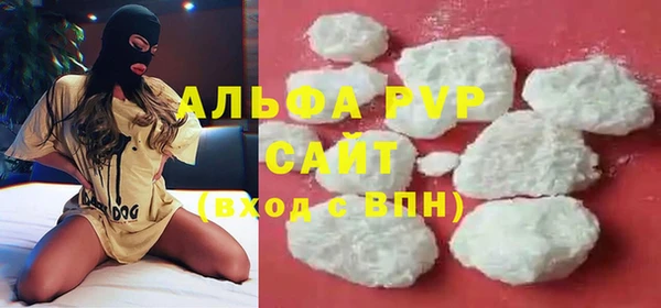 гашик Вяземский