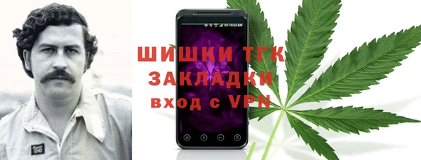 индика Нефтегорск