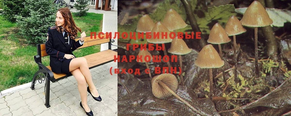 индика Нефтегорск