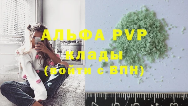 прущие грибы Краснослободск