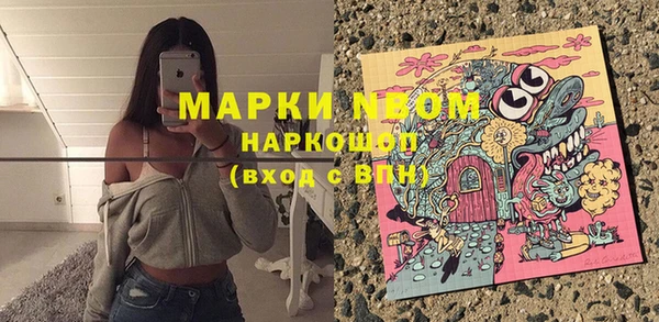 индика Нефтегорск