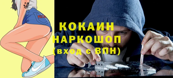 индика Нефтегорск