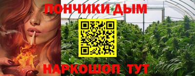 PSILOCYBIN Бийск