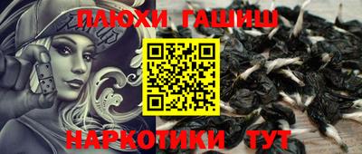 PSILOCYBIN Бийск