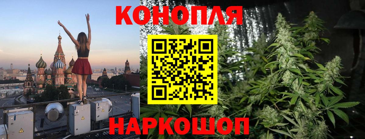 Канабис конопля Коряжма