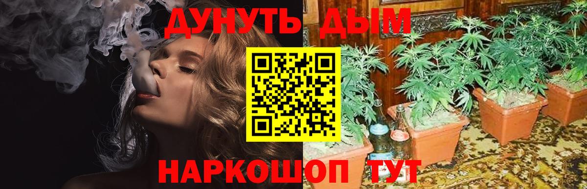 Канабис VHQ  Вход с VPN  Каннабис план  Каннабис семена  Коряжма 